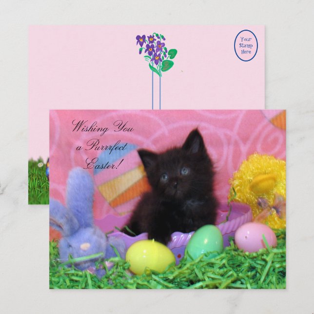 Angel the Kitten's Easter Wishes Postcard (Front/Back)