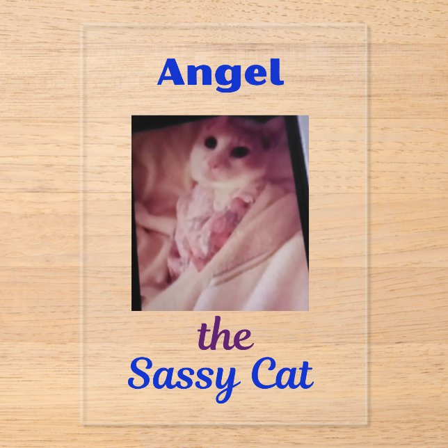 Angel the Sassy Cat Acrylic Invitations (Front)