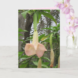Angel Trumpet Floral Greeting Card
