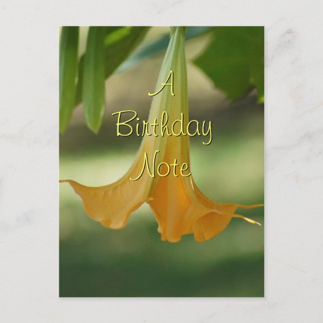 Angel Trumpet Postcard- customize any occasion Postcard (Front)