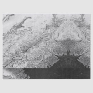 Angel Wing Heaven White Print Pattern Faux Stone Tissue Paper