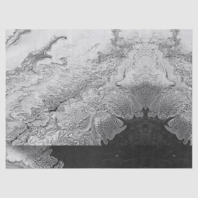 Angel Wing Heaven White Print Pattern Faux Stone Tissue Paper (Front)