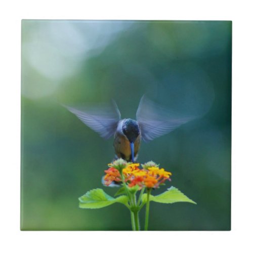 Angel Wings Hummingbird Ceramic Tile