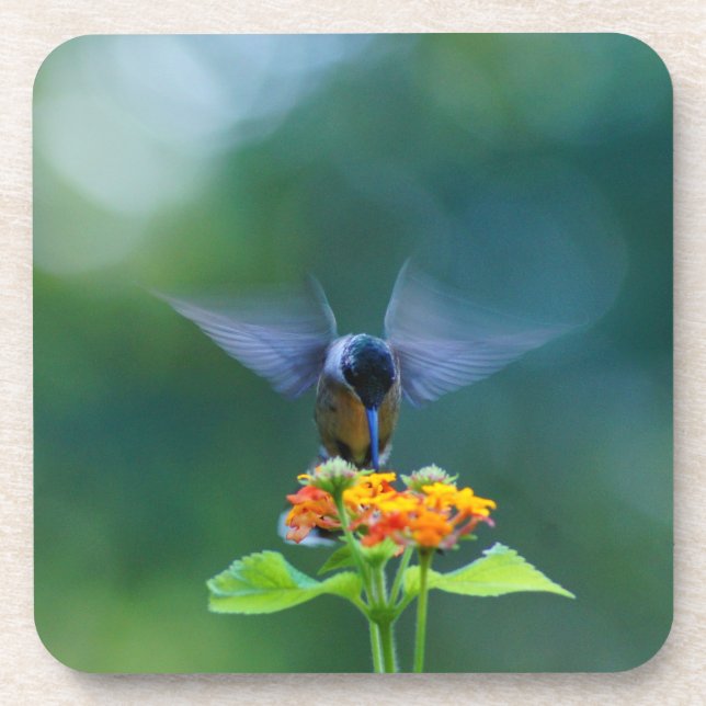 Angel Wings Hummingbird Coaster (Front)