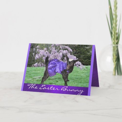 Angel  Wisteria2_ customize any occasion Holiday Card