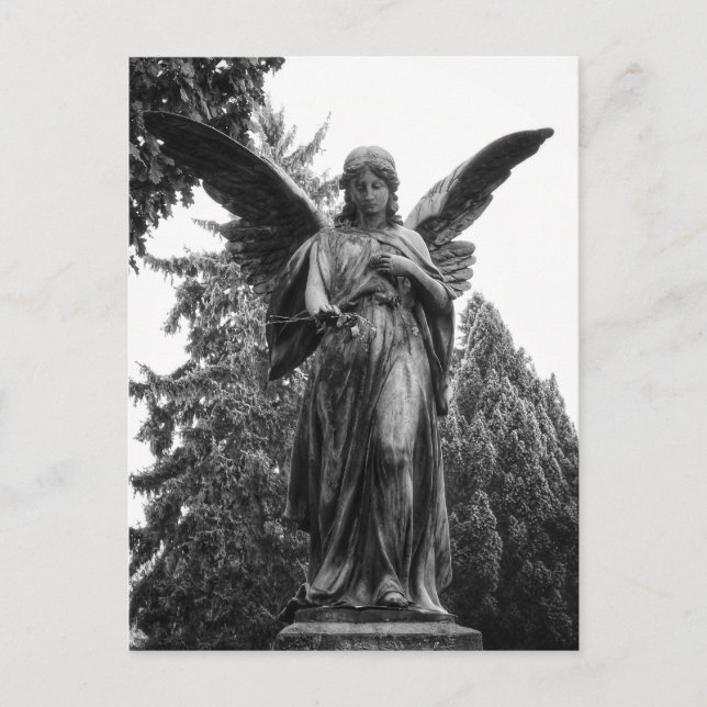 Angel With Spread Wings Holding A Flower Postcard (Front)