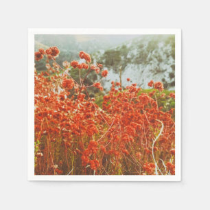 Angeles National Forest  Napkins