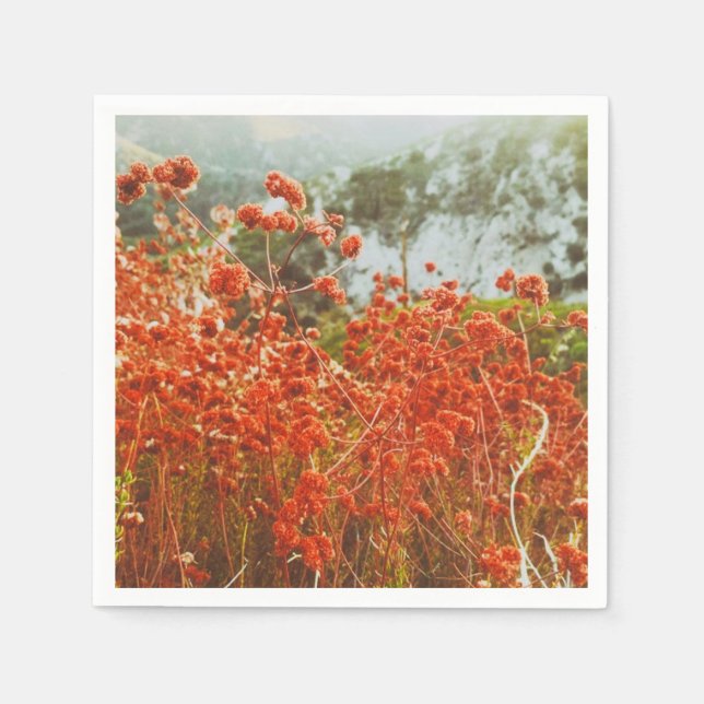Angeles National Forest  Napkins (Front)