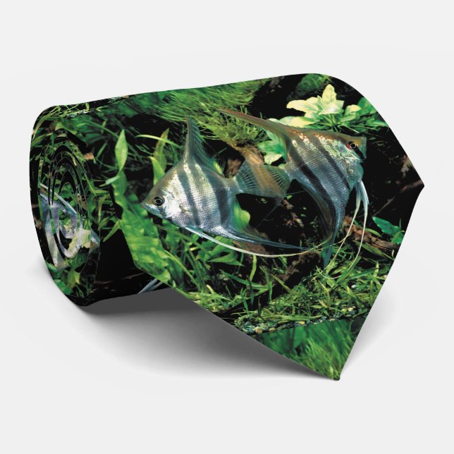 angelfish 2 neck tie (Rolled)