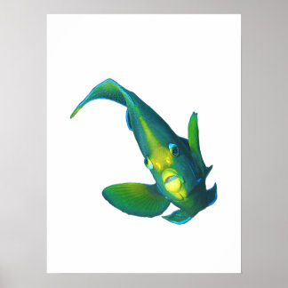 Angelfish - Abstract Design - Cut out of a photo | Poster