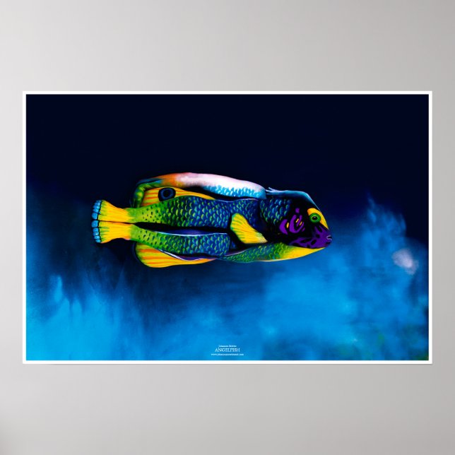 Angelfish by Johannes Stötter Poster (Front)