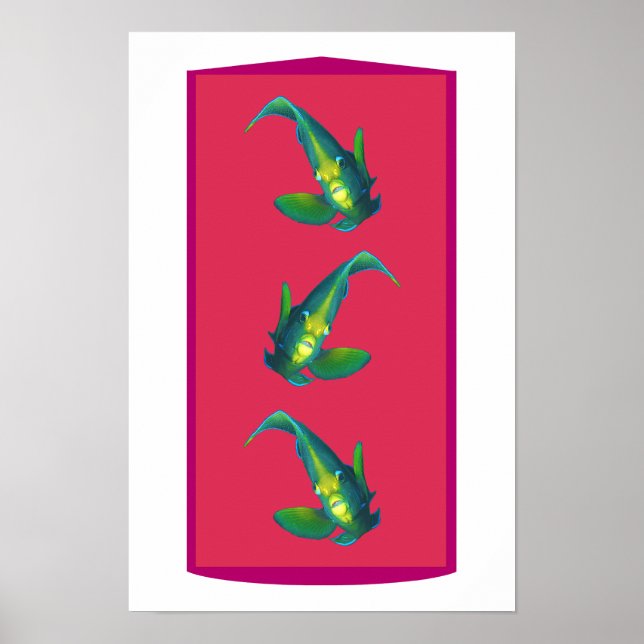 Angelfish - Elegance on Magenta-toned Background | Poster (Front)