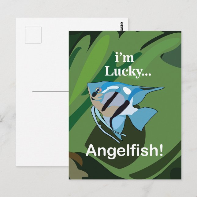 Angelfish Freshwater Tropical Aquarist Fisherman Postcard (Front/Back)
