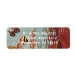 Angelfish in Coral, Vintage Tropical Fish in Ocean Label
