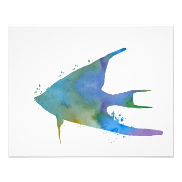 Angelfish Photo Print Angelfish Photo Print