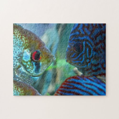 Angelfish vs Discus Fish Aquarium Keeper Jigsaw Puzzle