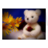 Angelic Bear (Front Horizontal)