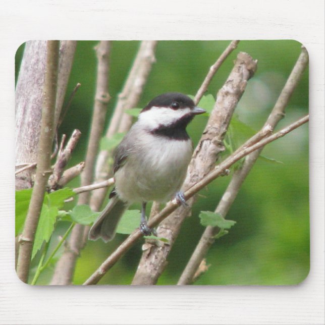 Angelic C. Chickadee Mousepad (Front)