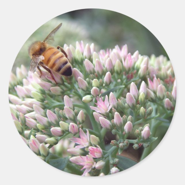 Angelic Honeybee Sticker (Front)