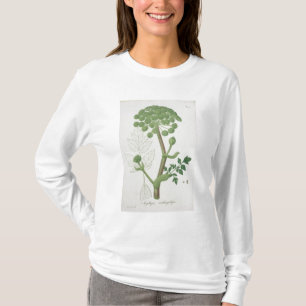 Angelica Archangelica from 'Phytographie Medicale' T-Shirt