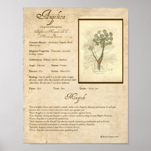 ANGELICA MAGICK HERB POSTER