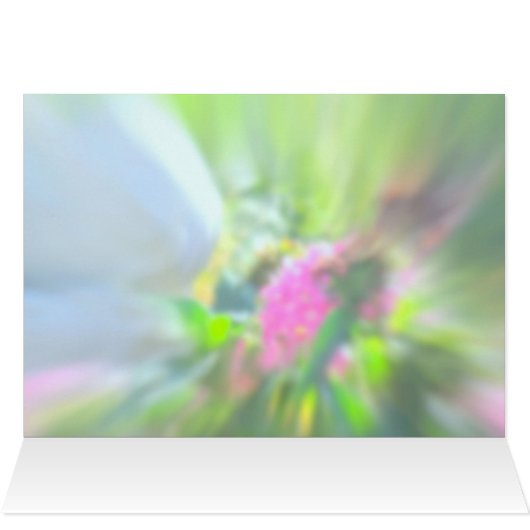 Angels and Miracles (Inside Horizontal (Top))