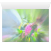 Angels and Miracles Cards (Inside Horizontal (Bottom))