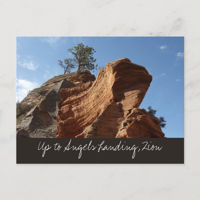 Angels Landing at Zion National Park Postcard (Front)