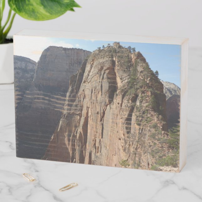 Angels Landing at Zion National Park Wooden Box Sign (In Situ Horizontal)