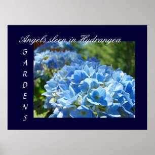 Angels Sleep in Hydrangeas Gardens art prints Blue