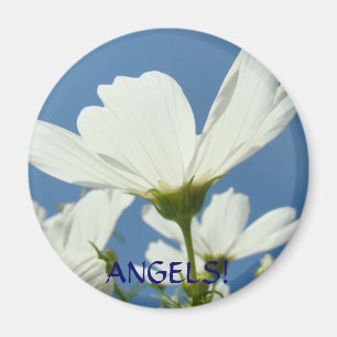 Angels! White Daisy Flower Wings Magnet Daisies