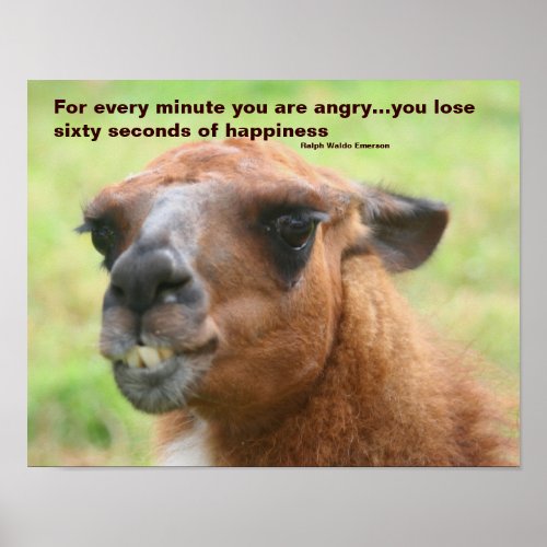 Anger Happiness Quote Llama Inspirational Poster