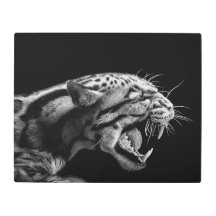 ANGER Metal Print 20"x16"