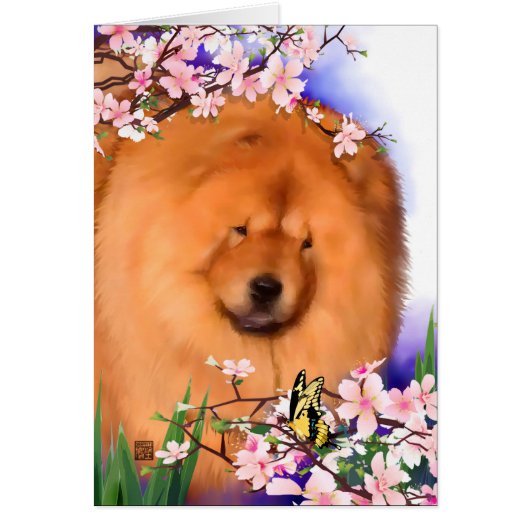ANGIE heARTdog chow Cards (Front)