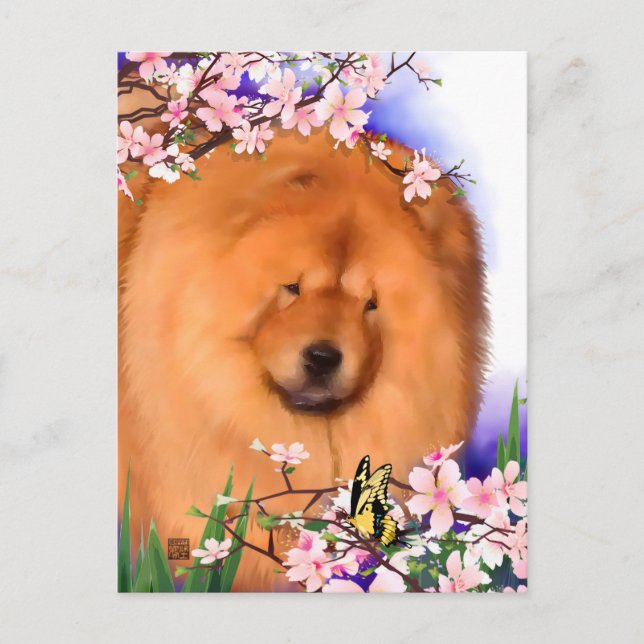 ANGIE heARTdog chow postcard (Front)