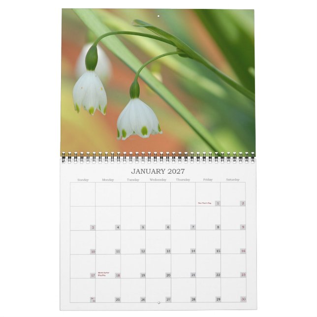 Angie's Garden 2008 Calendar (Jan 2027)