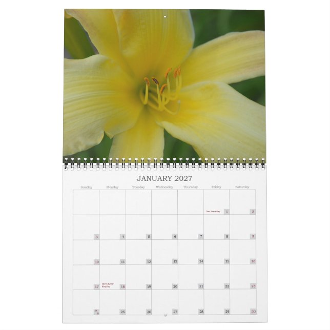 Angie's Lilies Calendar (Jan 2027)