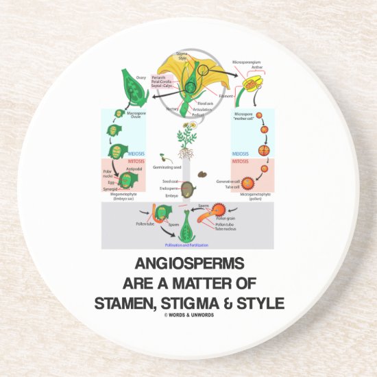 Angiosperms Are A Matter Of Stamen Stigma & Style Sandstone Coaster