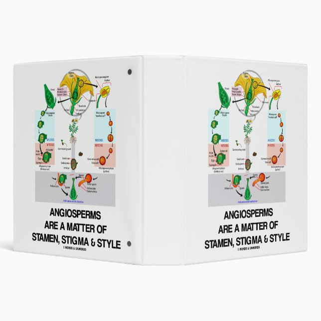 Angiosperms Are A Matter Of Stigma Stamen & Style 3 Ring Binder (Background)