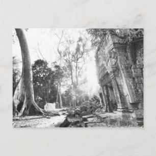 Angkor Cambodia, Details Ta Prohm Postcard