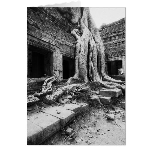 Angkor Cambodia, Ta Prohm Tree Cards (Front)