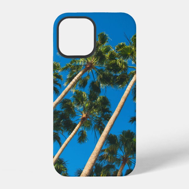 Angle perspective of group of tall thin palm trees iphone case (Back)