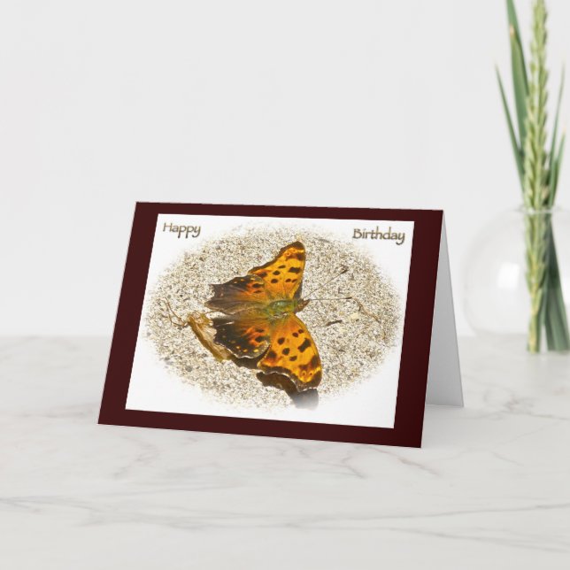Angle Wing Butterfly (Comma) Card (Front)