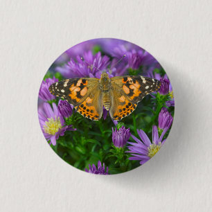 Angle Wing Butterfly On Cone Flower Button