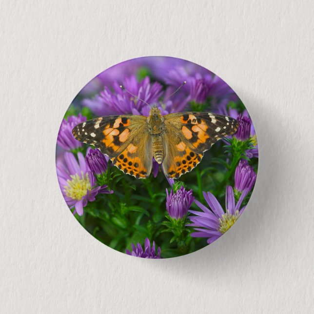 Angle Wing Butterfly On Cone Flower Button (Front)