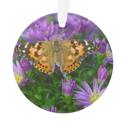 Angle Wing Butterfly On Cone Flower Ornament