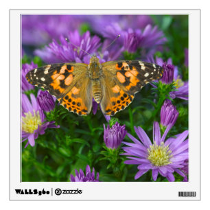 Angle Wing Butterfly On Cone Flower Wall Decal