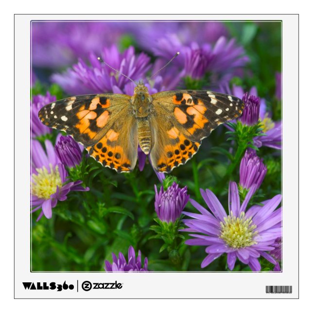 Angle Wing Butterfly On Cone Flower Wall Decal (Front)