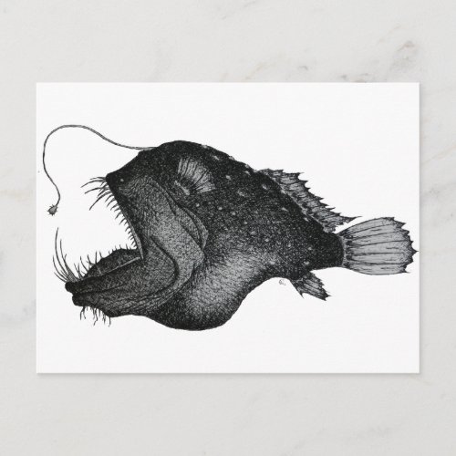 Anglerfishes Postcard