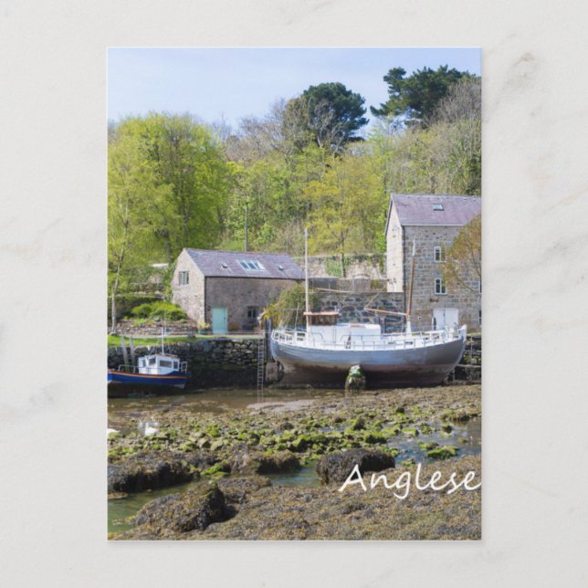 Anglesey, Wales Postcard (Front)